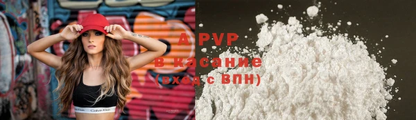 хмурый Абаза