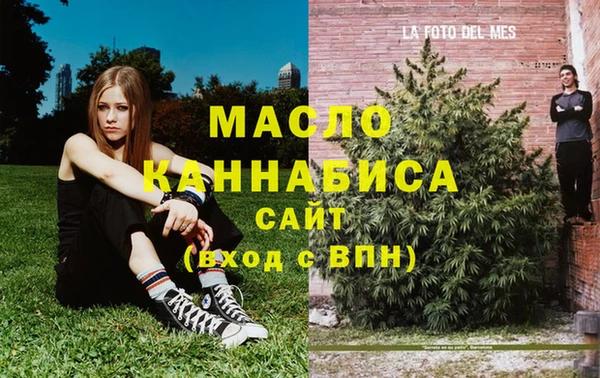 хмурый Абаза