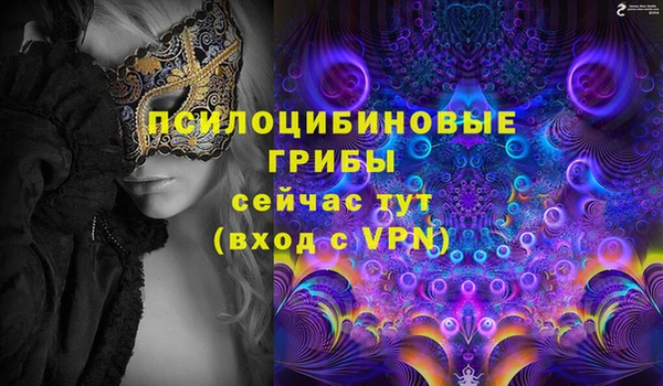 хмурый Абаза