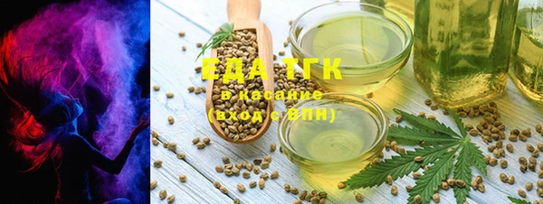 хмурый Абаза