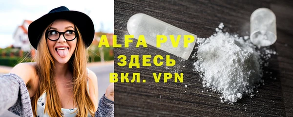 хмурый Абаза