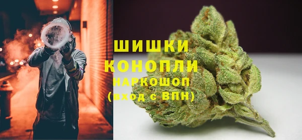 хмурый Абаза